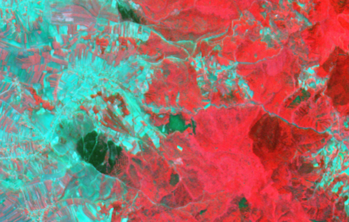 Close Up at a Distance Book Cover