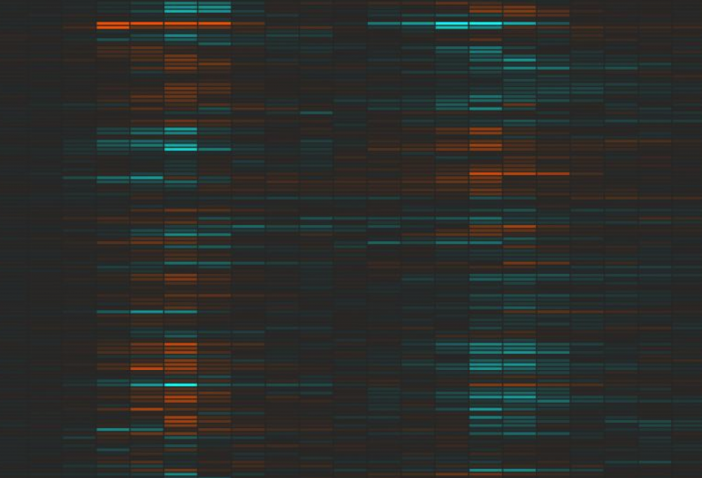 Citi Bikes Visualization