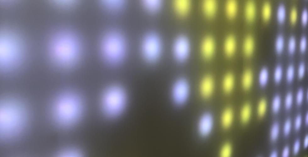 Homophily Installation Detail 