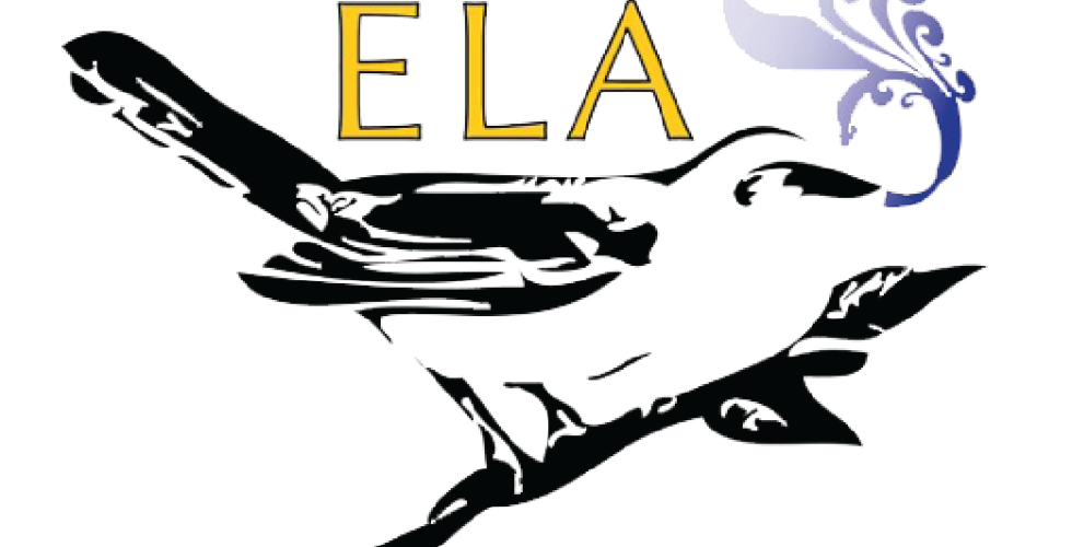 Beyond the Census: Reflections from the ELA