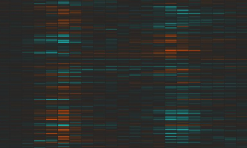 Citi Bikes Visualization